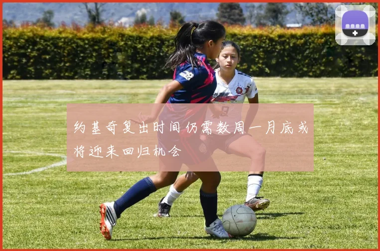 约基奇复出时间仍需数周一月底或将迎来回归机会