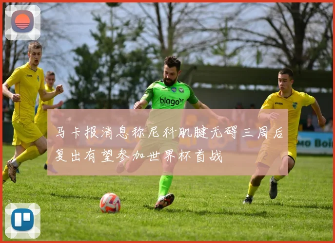 马卡报消息称尼科肌腱无碍三周后复出有望参加世界杯首战