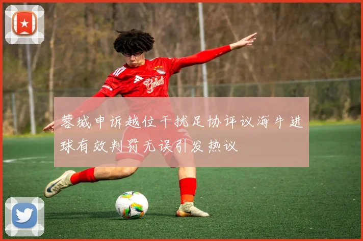 蓉城申诉越位干扰足协评议海牛进球有效判罚无误引发热议