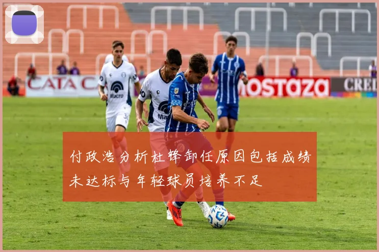 付政浩分析杜锋卸任原因包括成绩未达标与年轻球员培养不足