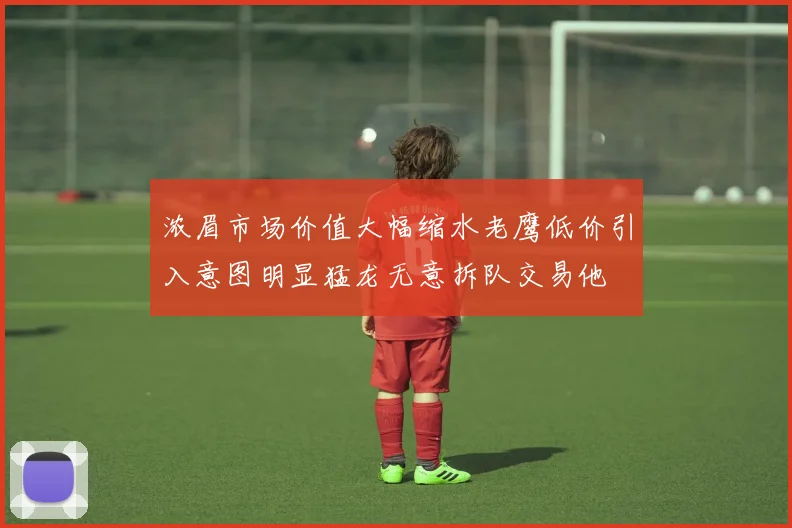 浓眉市场价值大幅缩水老鹰低价引入意图明显猛龙无意拆队交易他